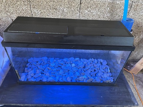 Juwel monolux aquarium - 80,
