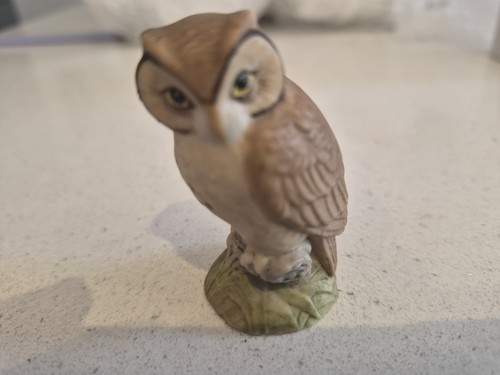 Aynsley owl - aynsley,