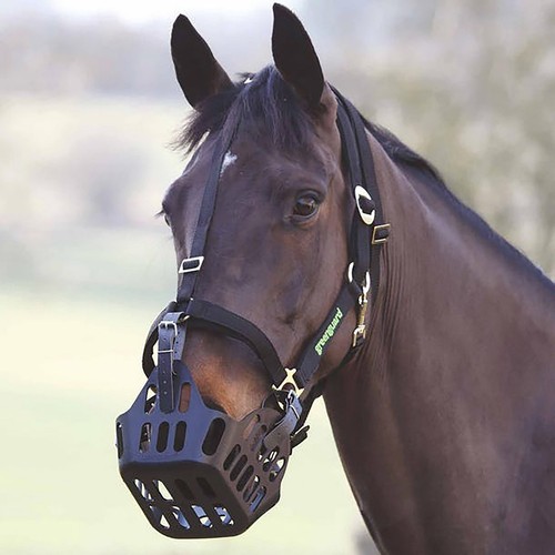 New greenguard muzzle head - greenguard,