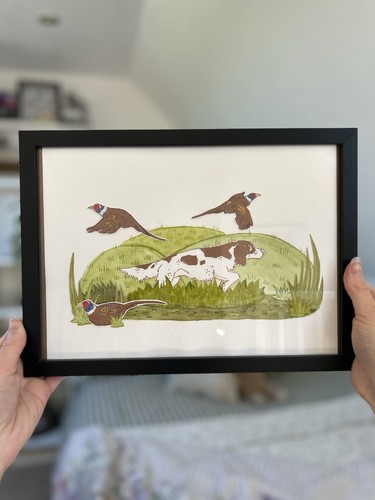 Springer spaniel pheasant a4 - pheasant,