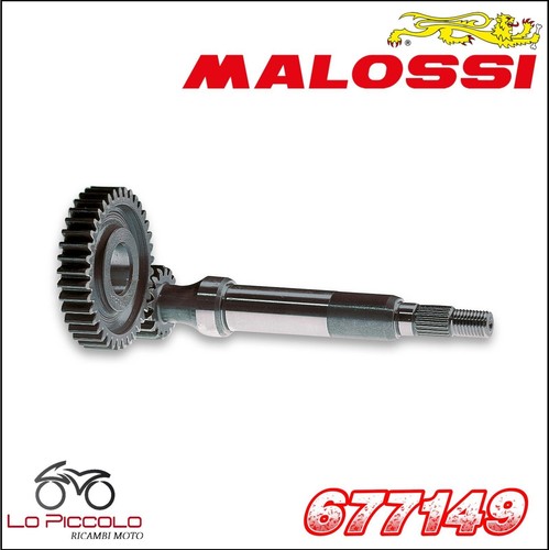 Primary gears malossi - primary, z