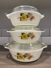 Vintage JAJ Pyrex Autumn Glory