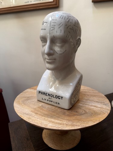 Phrenology head fowler - head,