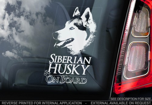 Husky car window - husky, sticker