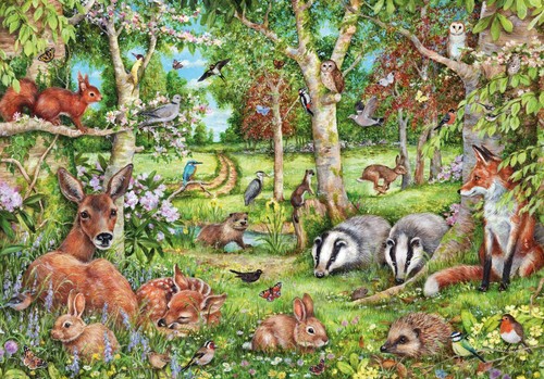 Woodland adventures 500 - -,