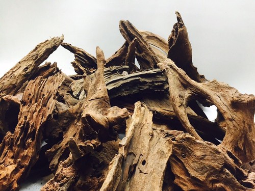 Random bogwood 25cm - random,