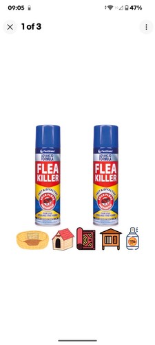Flea killer spray 200ml - 2,