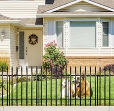 Thealyn Metal Garden Fence
