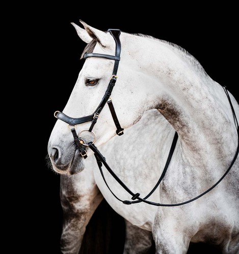 Horseware ireland micklem - ireland,