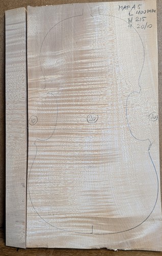 Ma5 violin one piece back - #,