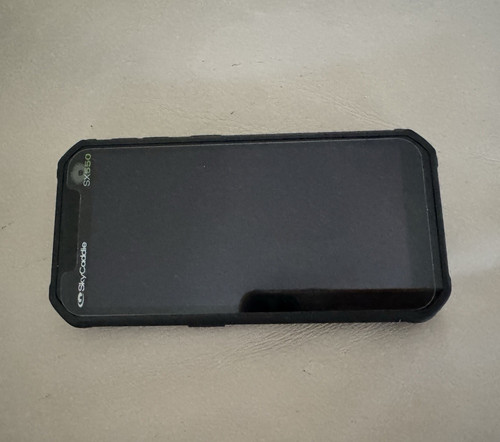Skycaddie sx550 touchscreen - skycaddie,