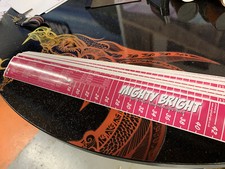 Mighty Bright Sea fishing fish