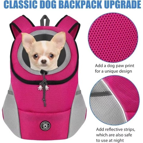 Pet puppy dog - pet,