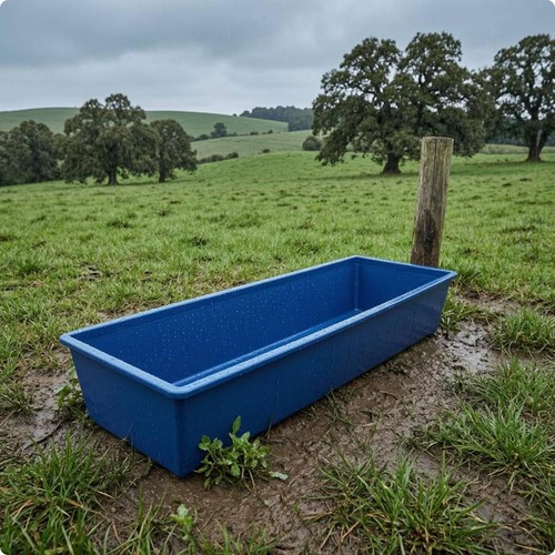 Cattle trough thickened - cattle,