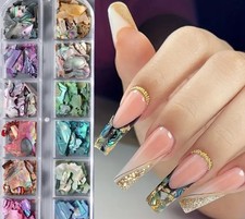 Irregular Abalone Seashell