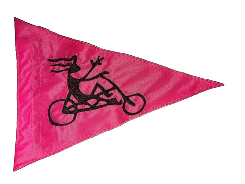 Custom recumbent trike - recumbent, flag