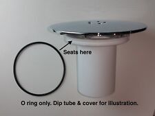 Replacement dip tube O ring
