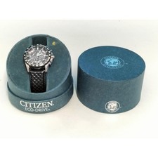 Citizen Eco Drive Perpetual