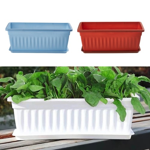 Plastic trough plant - plant, long