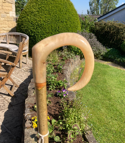 Rams horn crook - horn,