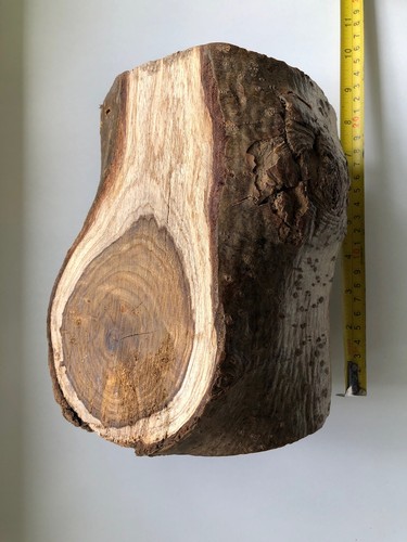 Laburnum wood turning - wood, log