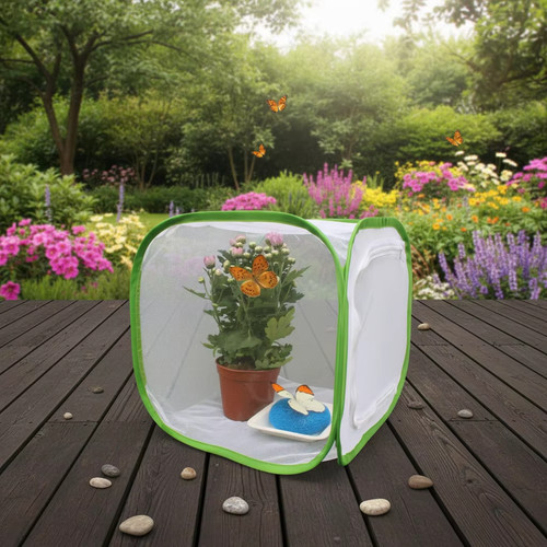 Foldable insect breeding cage - breeding,