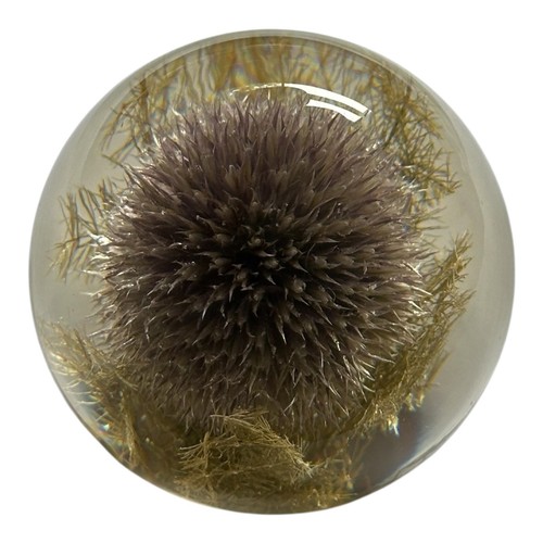Hafod grange paperweight - hafod,