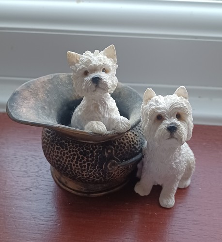 Two westies west - westies, (west