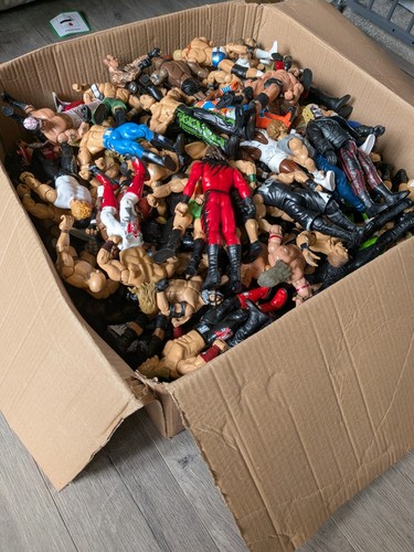 Huge wwe wrestling figure - wwe, job