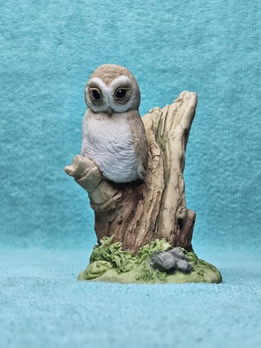 Collectable teviotdale owl - collectable,