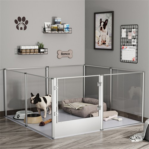 Clear acrylic dog cage - dog, indoor
