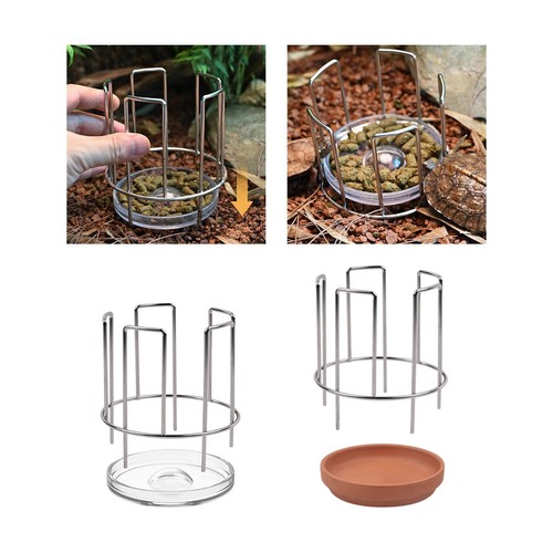 Tortoise feeding dish - tortoise, sturdy