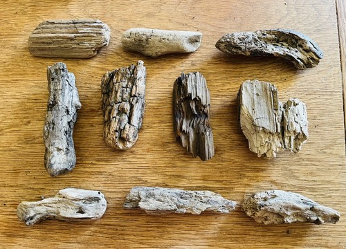 Chunky weathered driftwood - 10,