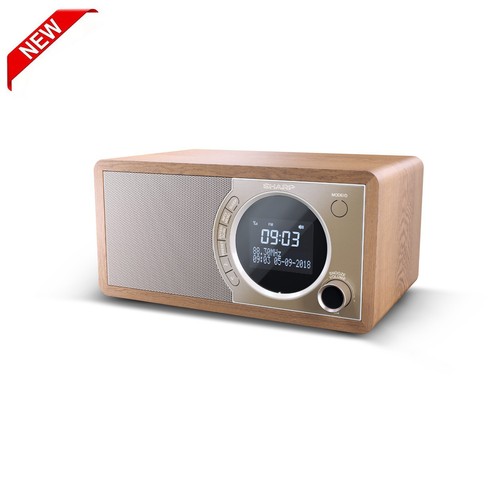 Sharp portable digital radio - digital,