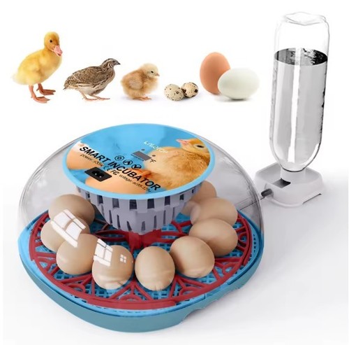 Automatic egg incubator - egg,
