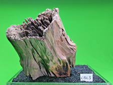Large Corbo Root CBL3 CAVE AQUARIUM Vivarium AQUASCAPING like mopani bogwood