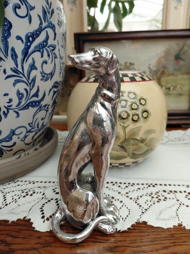 Lovely greyhound whippet - greyhound, /whippet