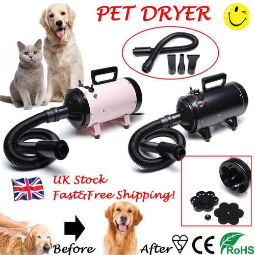 2800w pet dog cat - dog, grooming