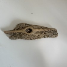 1 Small Unique Driftwood Piece