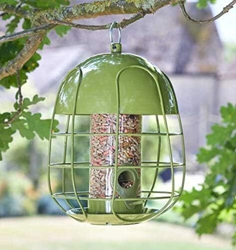 Squirrel proof bird feeder - squirrel,