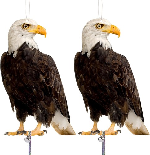 2pcs hawk bird scarer set - bird,