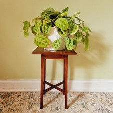 Antique Ray & Miles Liverpool