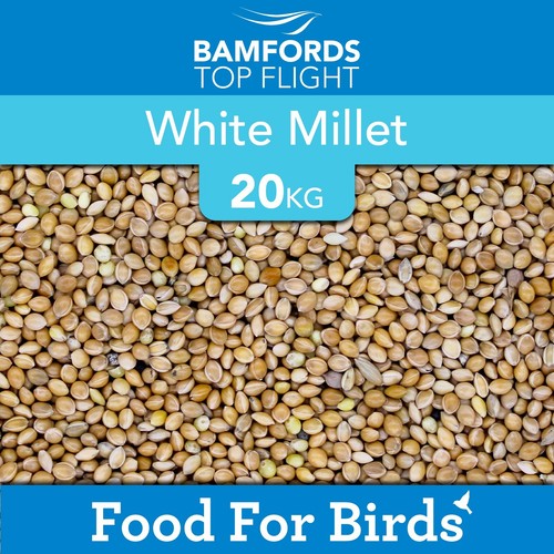 White millet 20kg - millet, bamfords