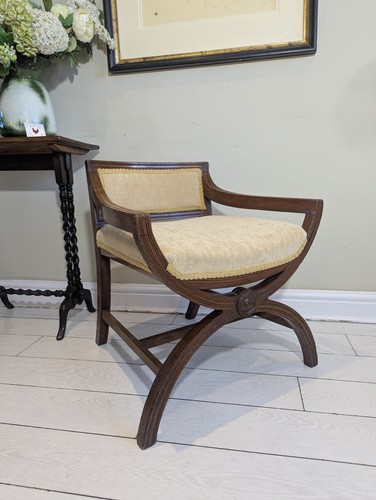 Regency style frame currule - style,