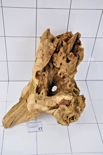 Aquarium natural wood - aquarium,