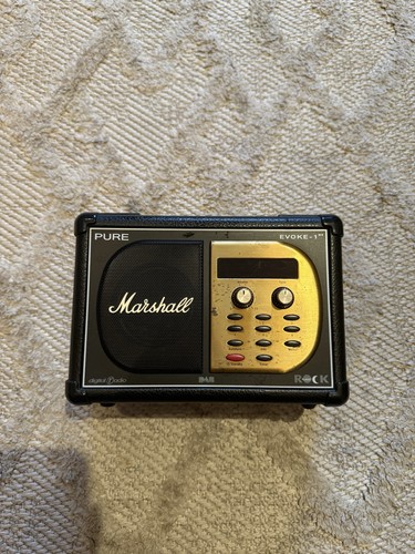 Marshall pure evoke 1xt dab - pure,