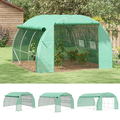 Garden walk polytunnel - garden, in