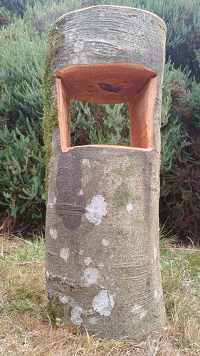 Space saver table tree stump
