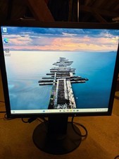 EIZO FlexScan S1934 IPS 19