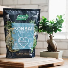 Westland Bonsai Repotting Soil